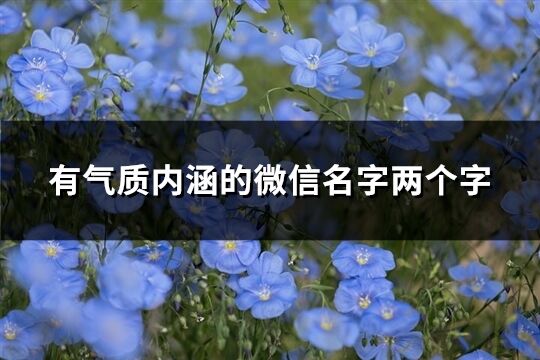 有氣質(zhì)內(nèi)涵的微信名字兩個(gè)字(優(yōu)選251個(gè))