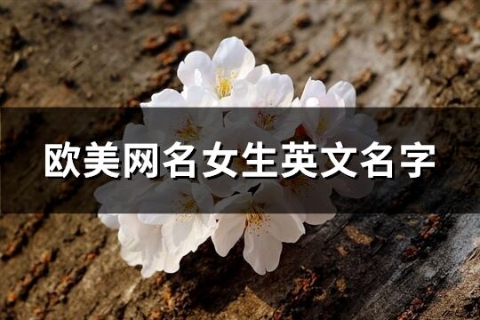 歐美網名女生英文名字(精選171個)