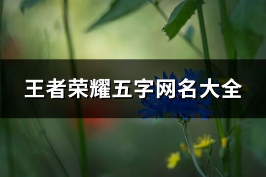 王者榮耀五字網名大全(優選230個)