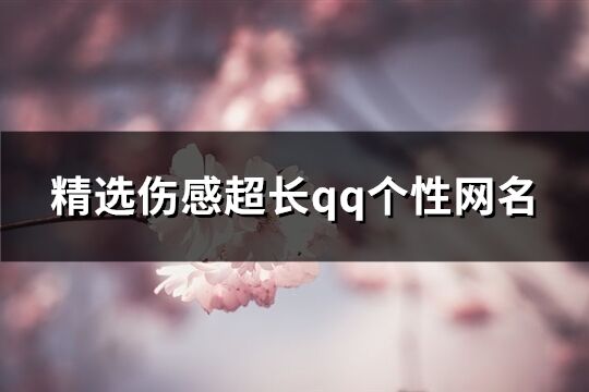 精選傷感超長(zhǎng)qq個(gè)性網(wǎng)名(共196個(gè))