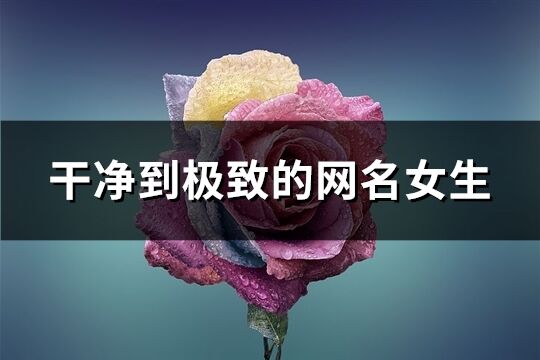 干凈到極致的網名女生(優選155個)