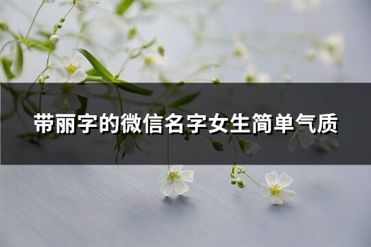 帶麗字的微信名字女生簡單氣質(zhì)(162個)