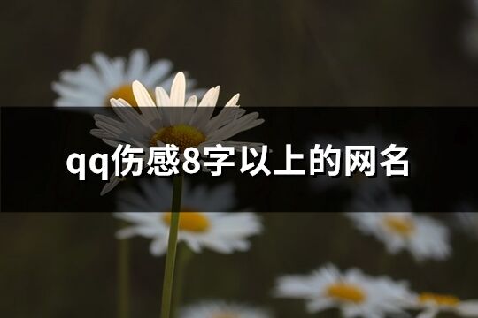 qq傷感8字以上的網名(優選180個)