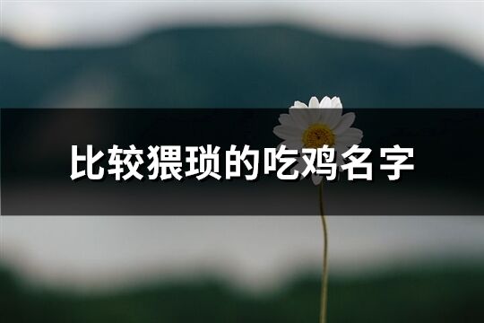 比較猥瑣的吃雞名字(優選294個)