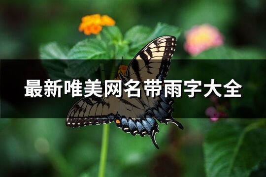 最新唯美網名帶雨字大全(113個)