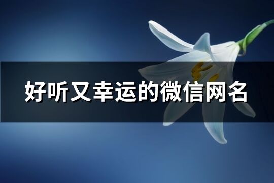 好聽又幸運(yùn)的微信網(wǎng)名(共439個(gè))