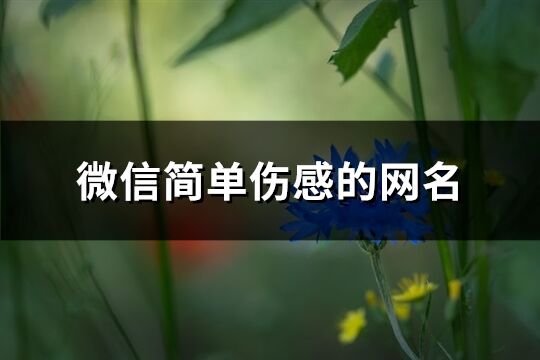 微信簡單傷感的網(wǎng)名(共585個)