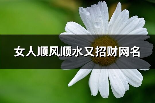 女人順風(fēng)順?biāo)终胸?cái)網(wǎng)名(精選383個(gè))