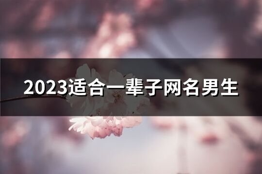 2023適合一輩子網名男生(優選726個)