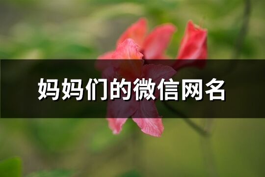 媽媽們的微信網名(共61個)