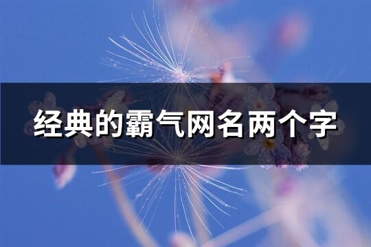 經典的霸氣網名兩個字(精選1027個)