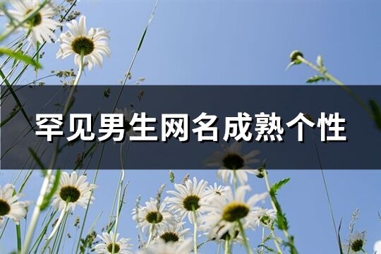 罕見男生網名成熟個性(精選41個)