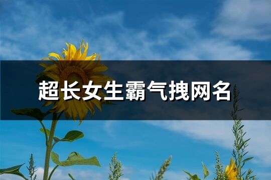 超長女生霸氣拽網名(精選501個)