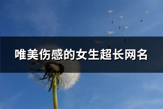 唯美傷感的女生超長(zhǎng)網(wǎng)名(共294個(gè))