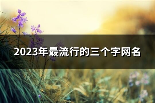 2023年最流行的三個字網名(精選903個)