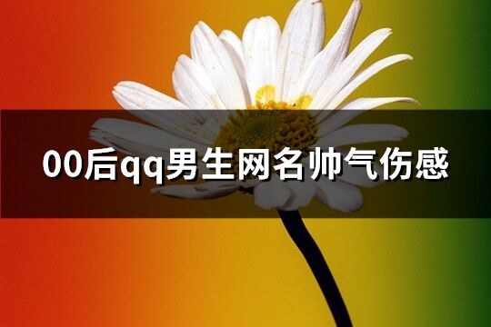 00后qq男生網名帥氣傷感(精選102個)