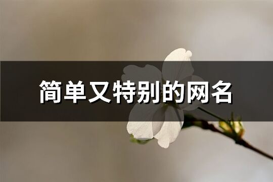 簡單又特別的網名(共117個)