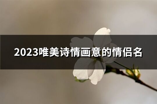 2023唯美詩情畫意的情侶名(優選101個)