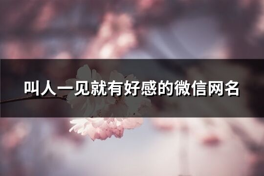 叫人一見就有好感的微信網名(優選219個)