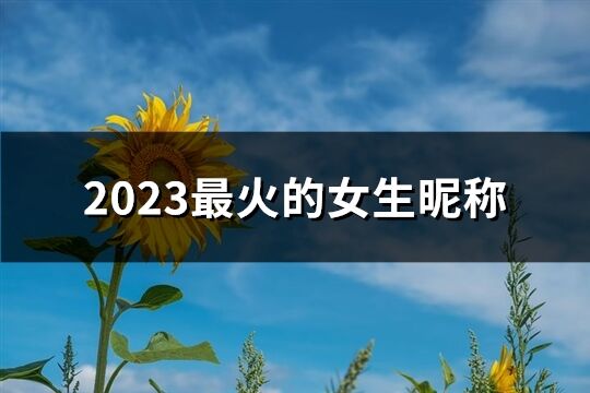 2023最火的女生昵稱(精選800個(gè))