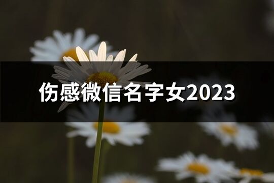 傷感微信名字女2023(共60個(gè))