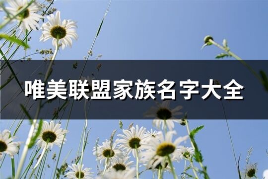 唯美聯(lián)盟家族名字大全(共617個)