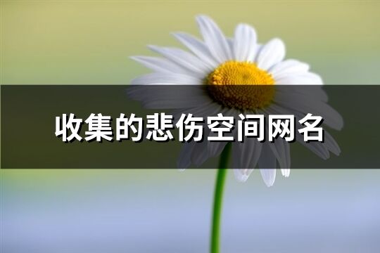 收集的悲傷空間網(wǎng)名(共341個)