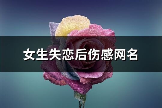 女生失戀后傷感網名(精選101個)