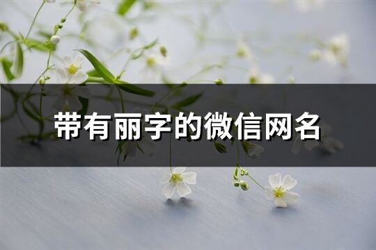 帶有麗字的微信網名(優選139個)