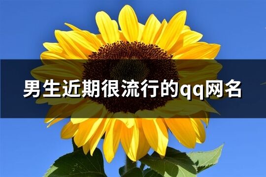 男生近期很流行的qq網名(優選611個)