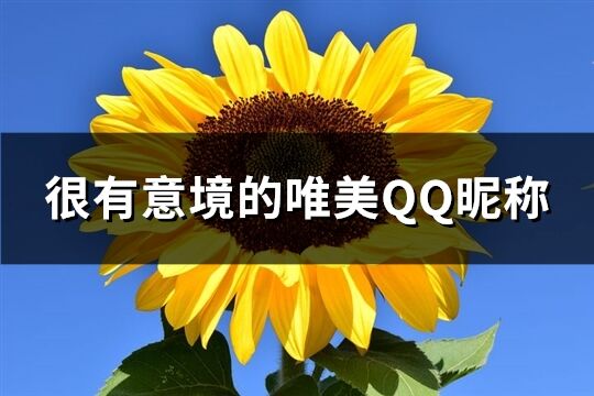 很有意境的唯美QQ昵稱(共165個)