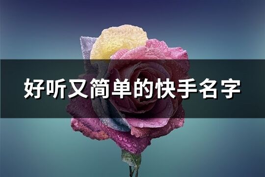 好聽又簡單的快手名字(485個)