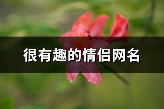 很有趣的情侶網名(精選162個)