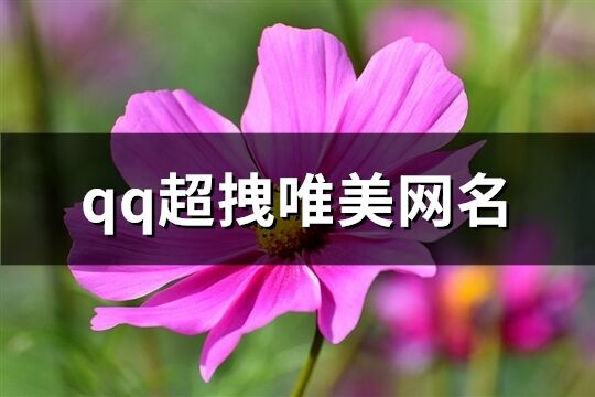 qq超拽唯美網名(共94個)