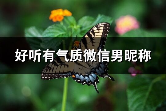 好聽有氣質微信男昵稱(精選211個)