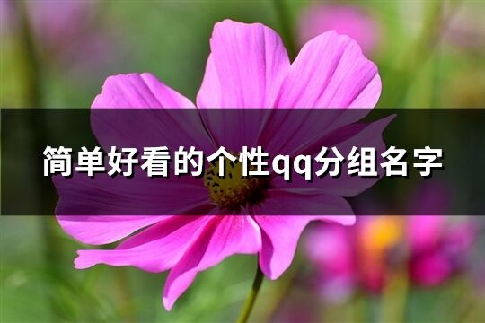 簡單好看的個性qq分組名字(共165個)