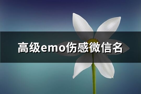 高級emo傷感微信名(優選234個)