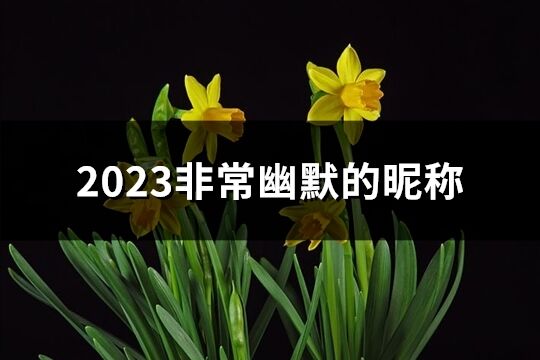 2023非常幽默的昵稱(精選178個(gè))