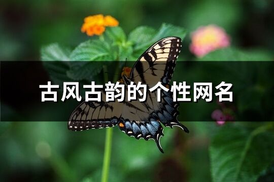 古風(fēng)古韻的個(gè)性網(wǎng)名(共554個(gè))