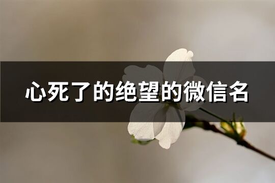 心死了的絕望的微信名(優選326個)