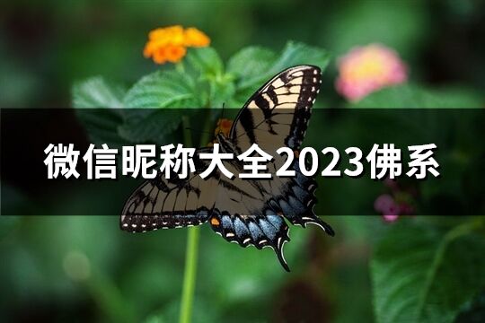 微信昵稱大全2023佛系(共279個)