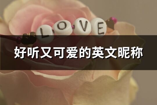 好聽又可愛的英文昵稱(精選169個)
