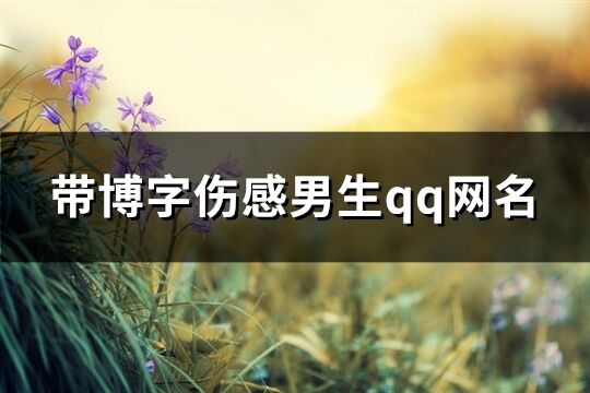 帶博字傷感男生qq網名(精選61個)