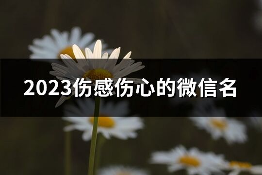 2023傷感傷心的微信名(共2473個)