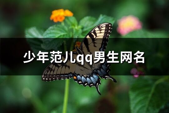 少年范兒qq男生網(wǎng)名(精選205個)