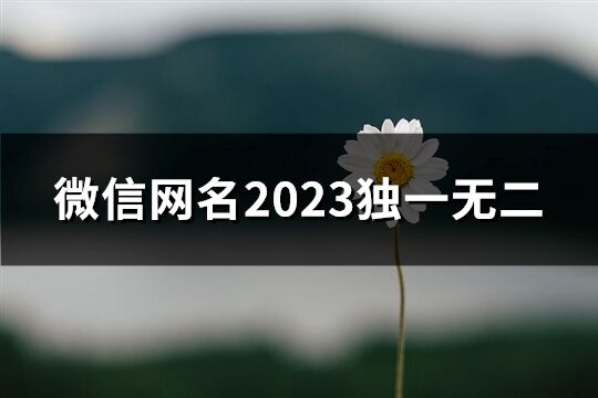 微信網名2023獨一無二(精選87個)