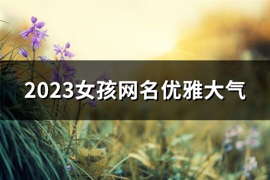 2023女孩網(wǎng)名優(yōu)雅大氣(242個(gè))