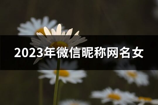 2023年微信昵稱網名女(優選1202個)