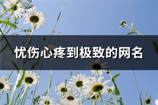 憂傷心疼到極致的網名(924個)