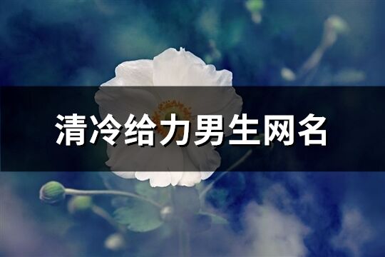 清冷給力男生網(wǎng)名(優(yōu)選307個)